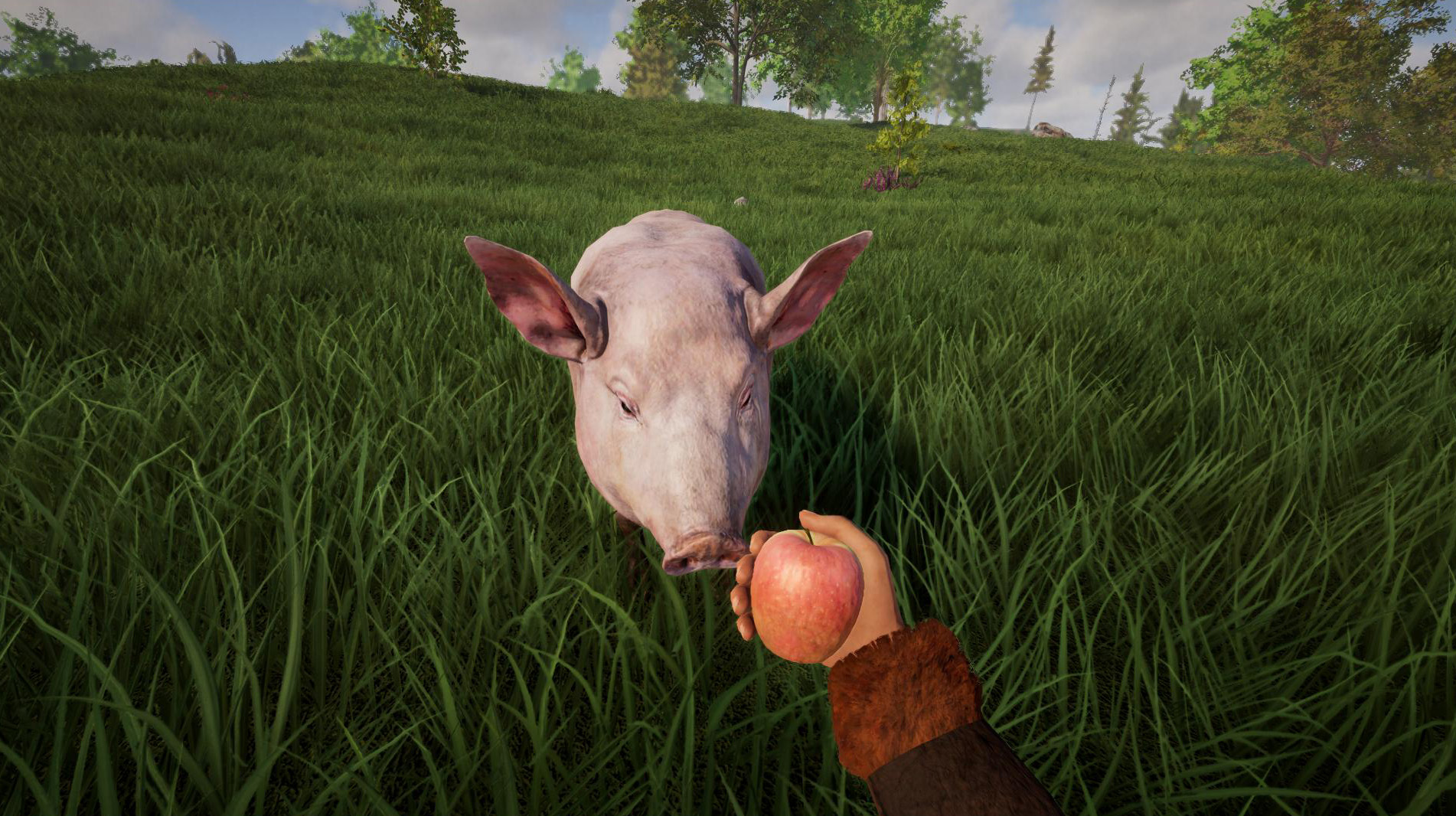 animal-feeding
